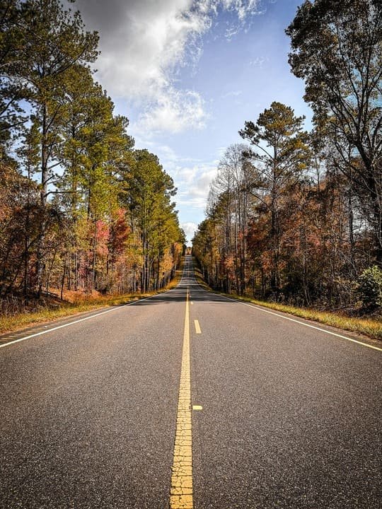 Alabama road trips