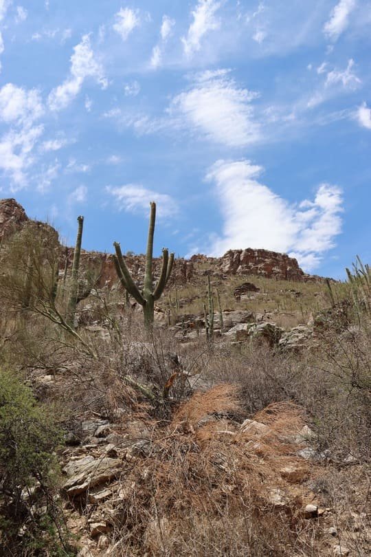 Arizona road trips