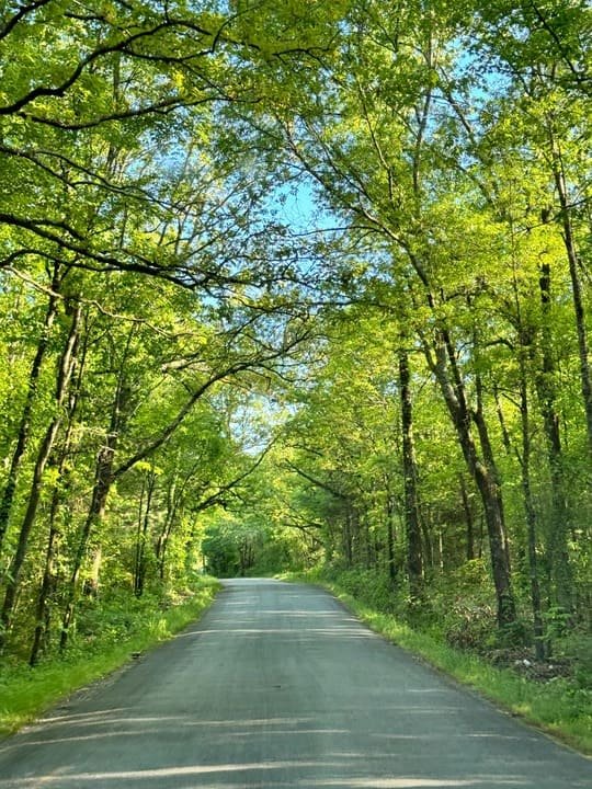 Arkansas road trips