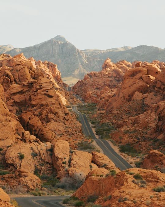 Nevada road trips