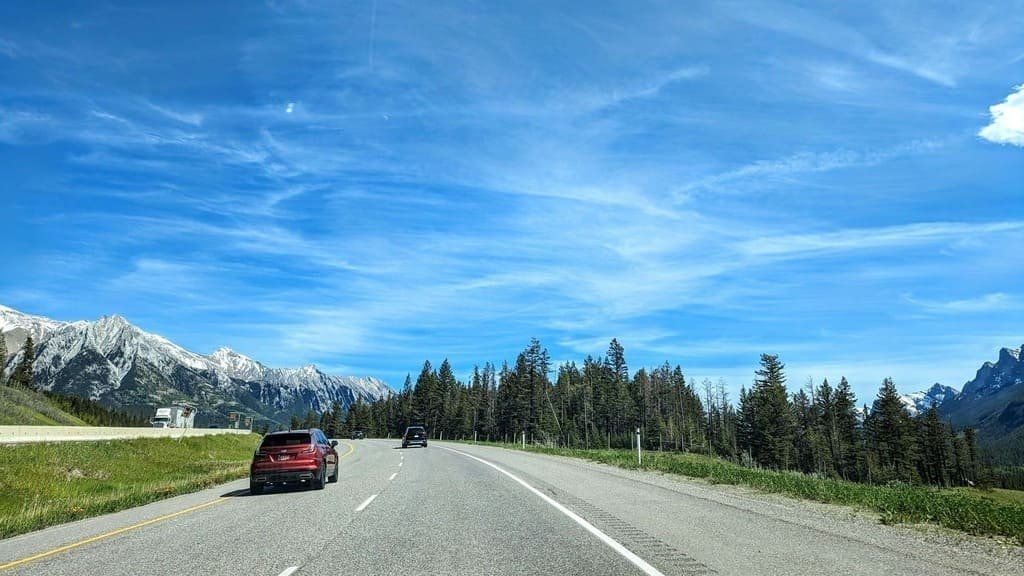 Road Trip