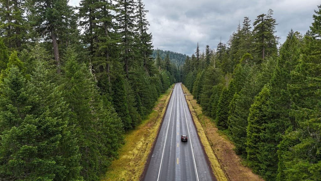Oregon Road Trip