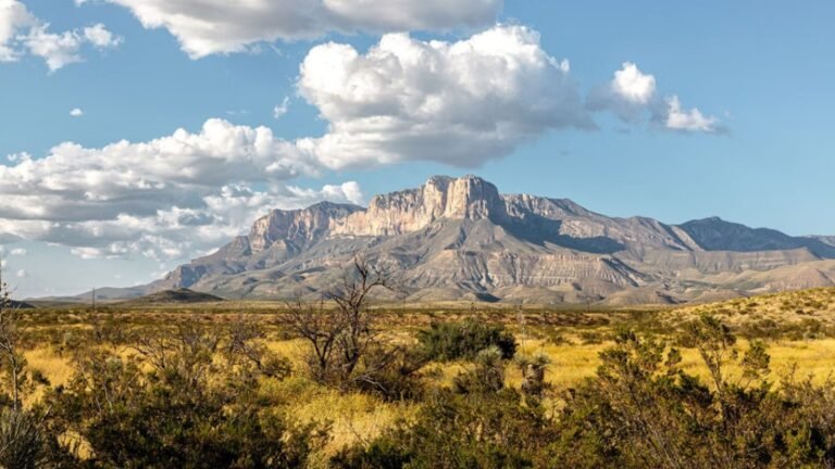 Best National Park Road Trips: How to Choose and Plan One