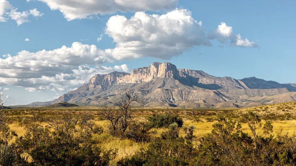 Best National Park Road Trips: How to Choose and Plan One