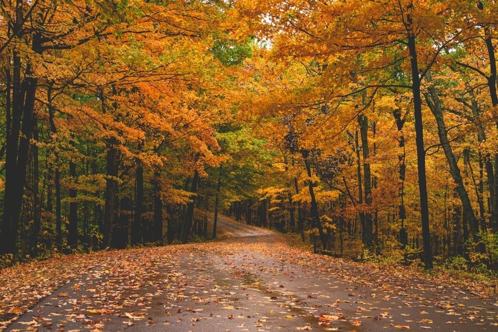 Blue Ridge Parkway Road Trip Guide: Overlooks, Stops & Itinerary photo 2
