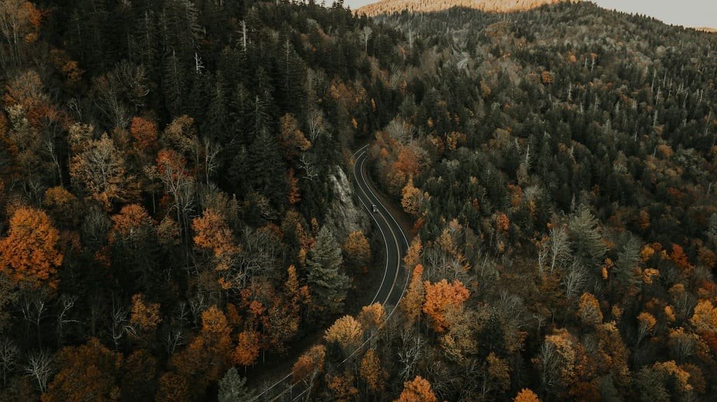Blue Ridge Parkway Road Trip Guide: Overlooks, Stops & Itinerary
