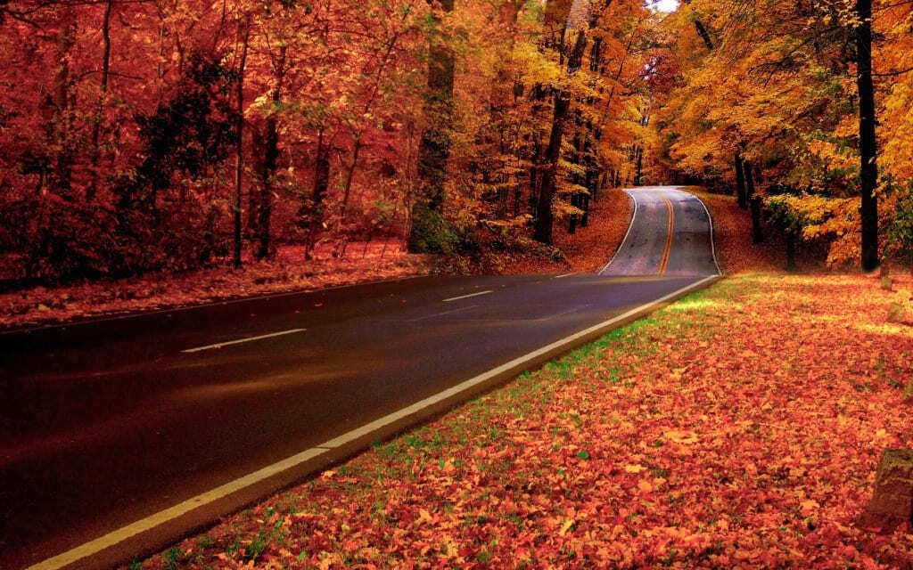 Brandywine Valley Scenic Byway Road Trip: The Complete Route Guide photo 1
