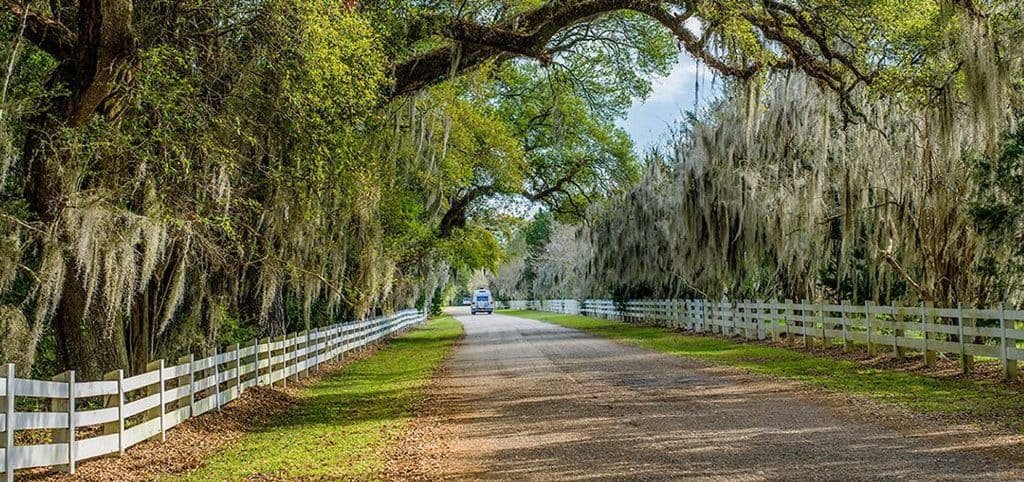 Bayou Teche Scenic Byway Road Trip: The Complete Route Guide photo 3
