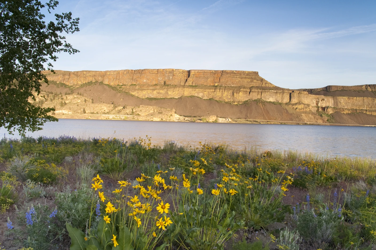 Coulee Corridor Scenic Byway Road Trip: The Complete Route Guide photo 3