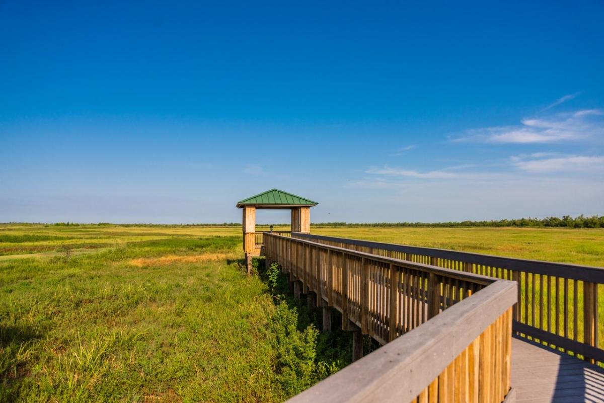 Creole Nature Trail Road Trip: The Complete Route Guide photo 1