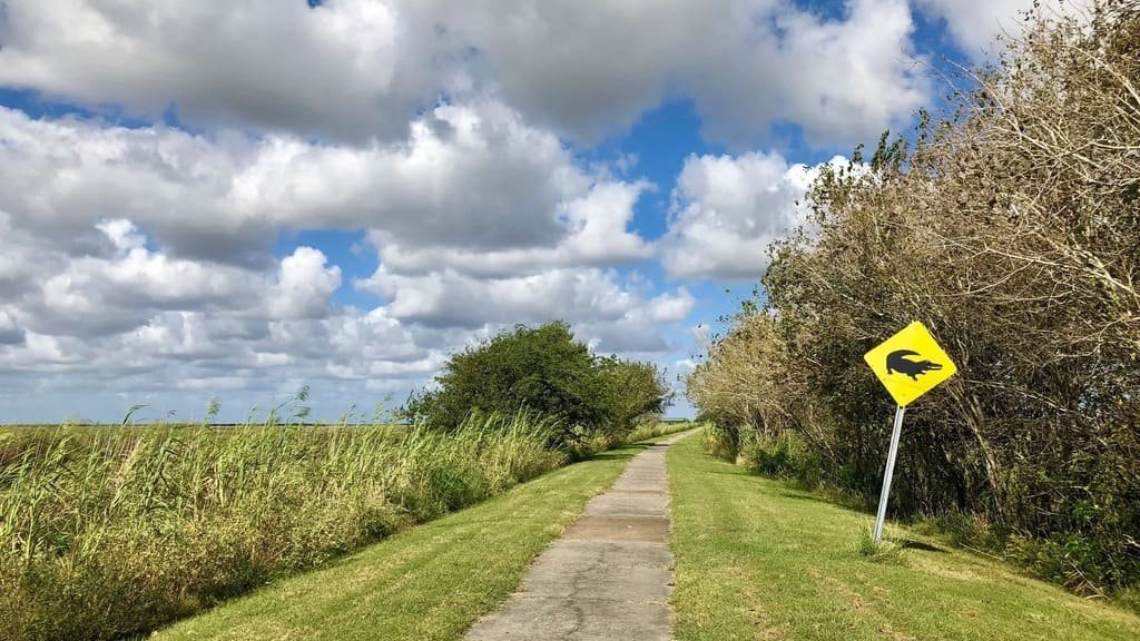 Creole Nature Trail Road Trip: The Complete Route Guide photo 3