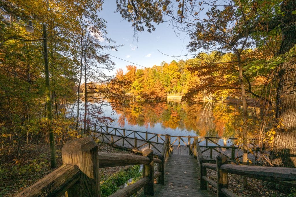 Crowley’s Ridge Parkway Road Trip: The Complete Route Guide photo 2