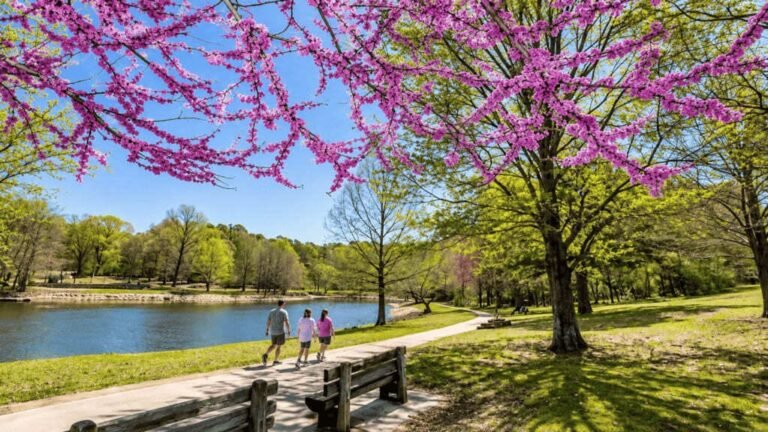 Crowley’s Ridge Parkway Road Trip: The Complete Route Guide