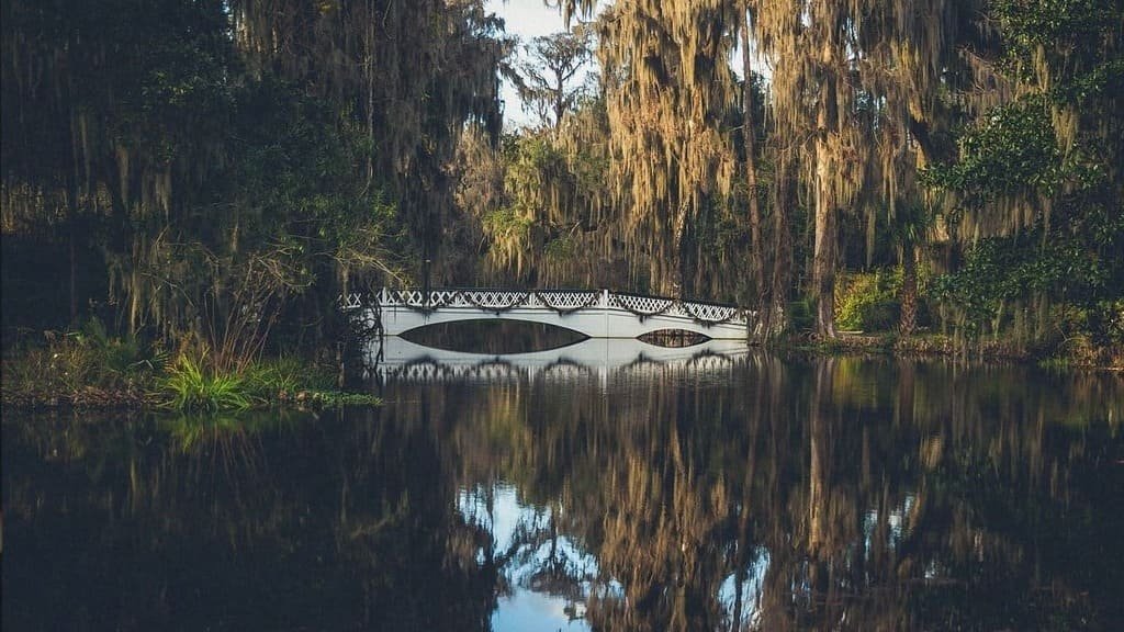 Ashley River Road Trip: The Complete Route Guide photo 2