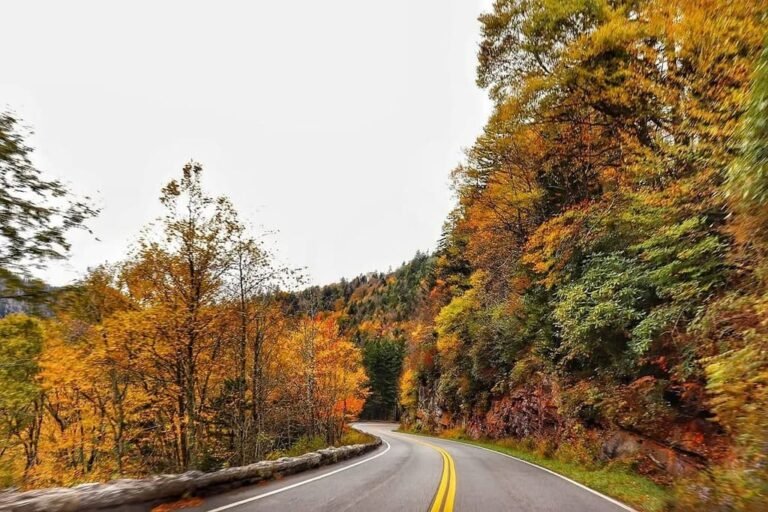 Great Smoky Mountains Road Trip Guide: Stops & Itinerary