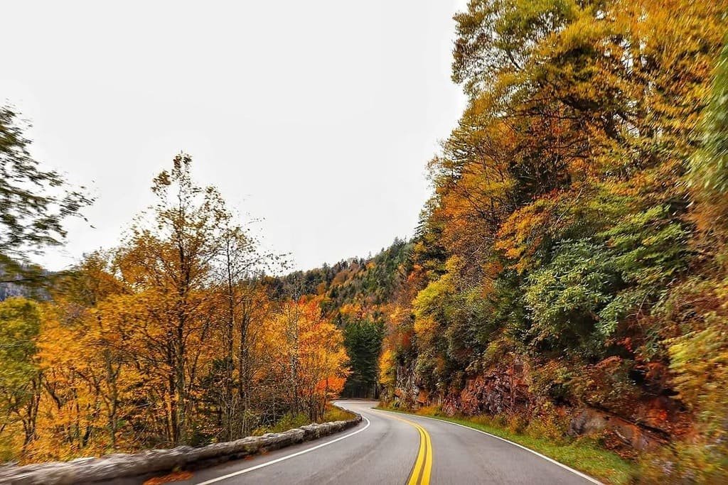 Great Smoky Mountains Road Trip Guide: Stops & Itinerary