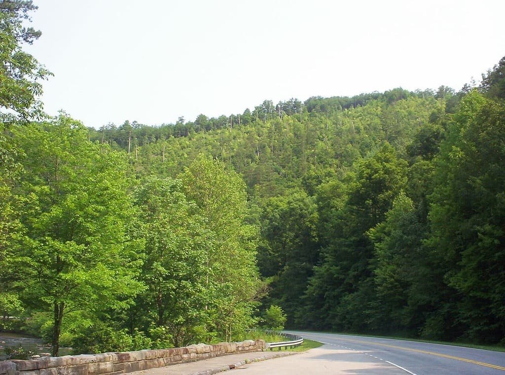 Cherohala Skyway Road Trip: The Complete Route Guide photo 2