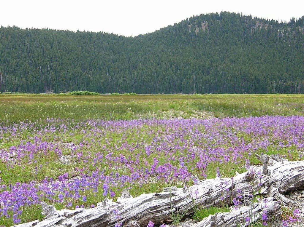 Cascade Lakes Scenic Byway Road Trip: The Complete Route Guide photo 3
