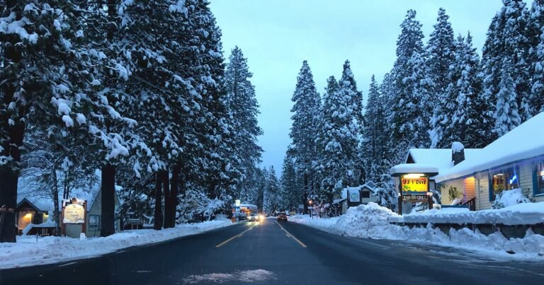 Ebbetts Pass Scenic Byway Road Trip: The Complete Route Guide