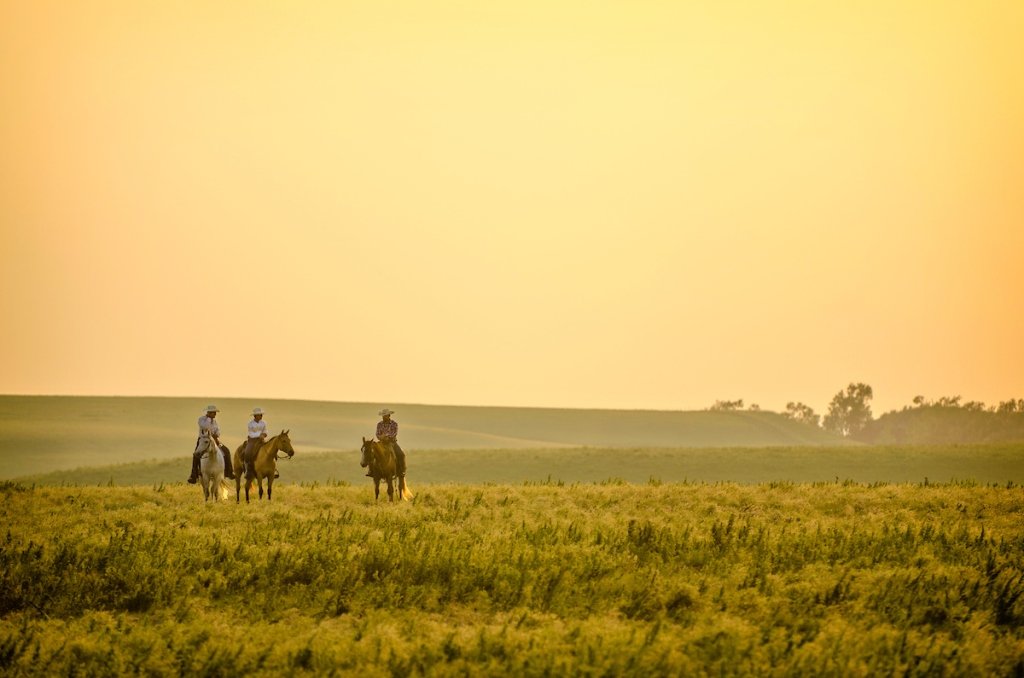 Flint Hills National Scenic Byway Road Trip: The Complete Route Guide