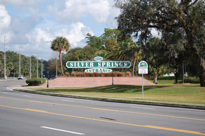 Florida Black Bear Scenic Byway Road Trip: The Complete Route Guide photo 1
