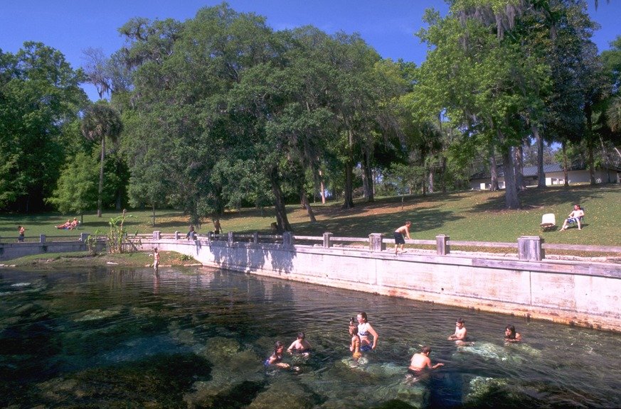 Florida Black Bear Scenic Byway Road Trip: The Complete Route Guide photo 3