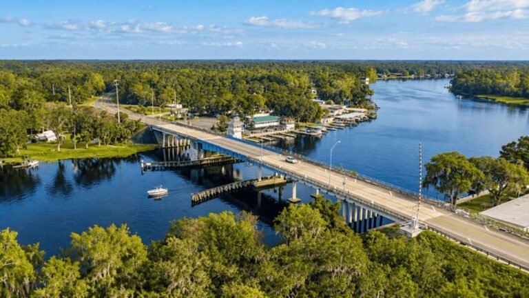 Florida Black Bear Scenic Byway Road Trip: The Complete Route Guide