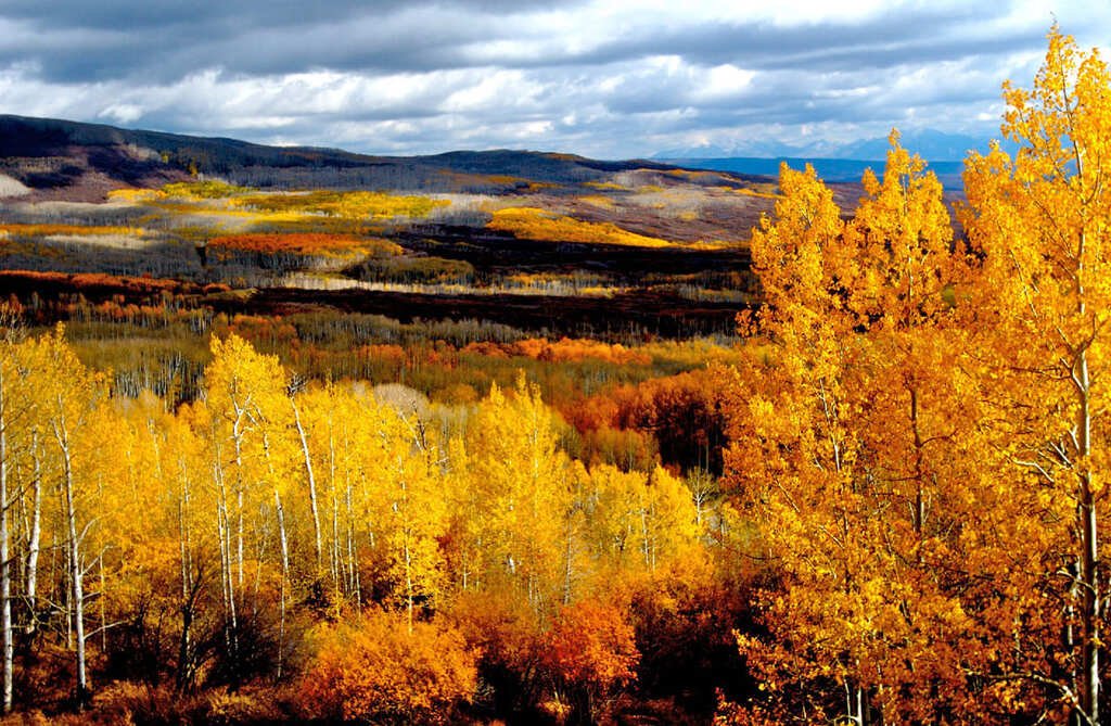 Grand Mesa Scenic and Historic Byway Road Trip: The Complete Route Guide photo 1