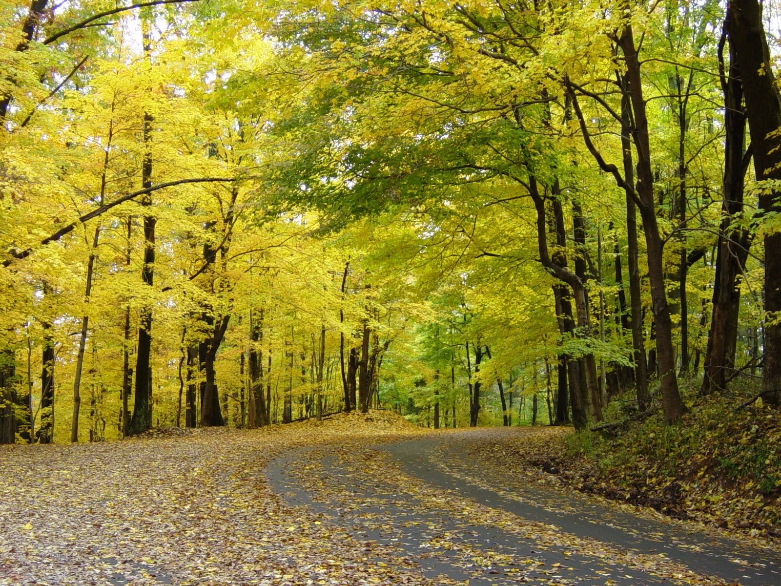 Indiana’s Historic Pathways Road Trip: The Complete Route Guide photo 2
