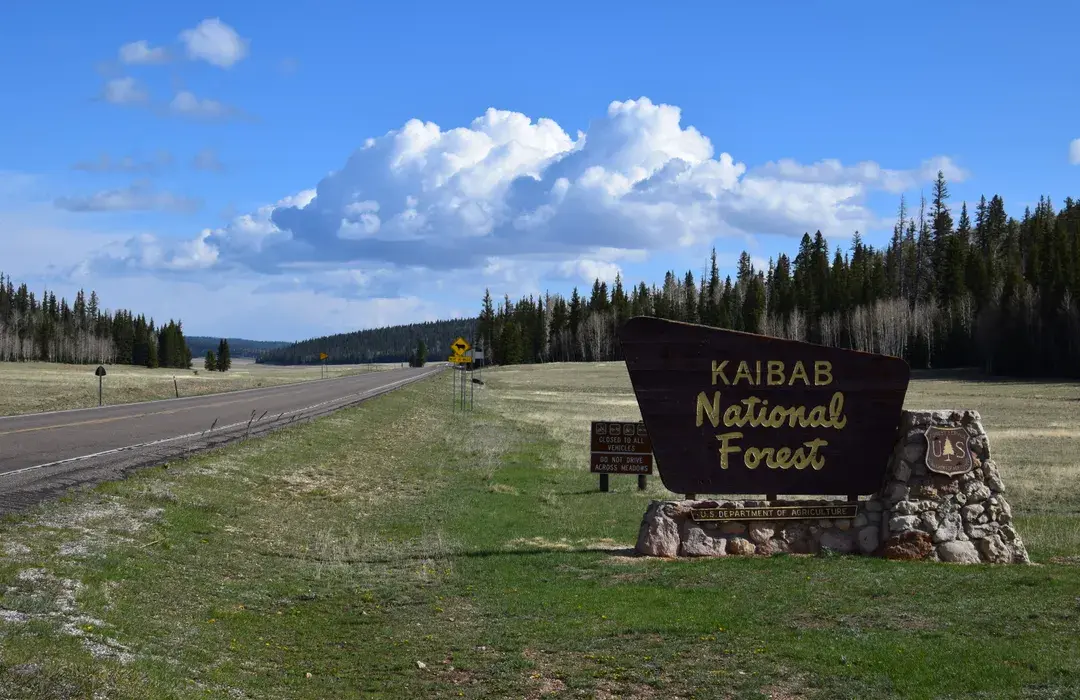 Kaibab Plateau-North Rim Parkway Road Trip: The Complete Route Guide photo 1