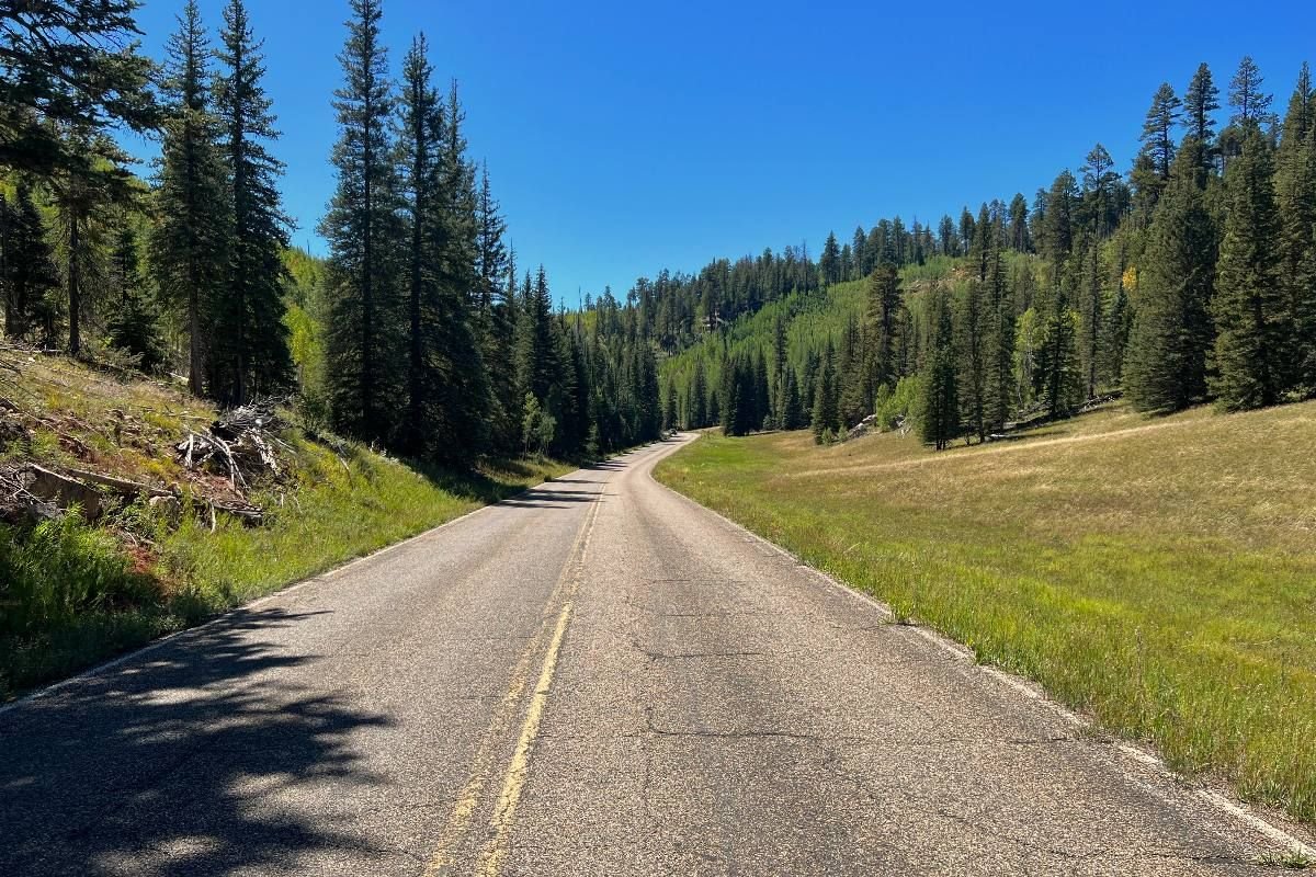 Kaibab Plateau-North Rim Parkway Road Trip: The Complete Route Guide photo 3