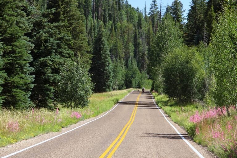 Kaibab Plateau-North Rim Parkway Road Trip: The Complete Route Guide