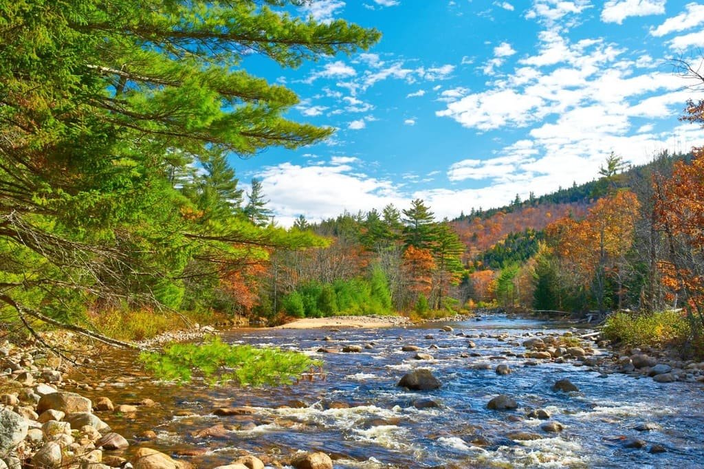 Kancamagus Scenic Byway Road Trip: The Complete Route Guide photo 3