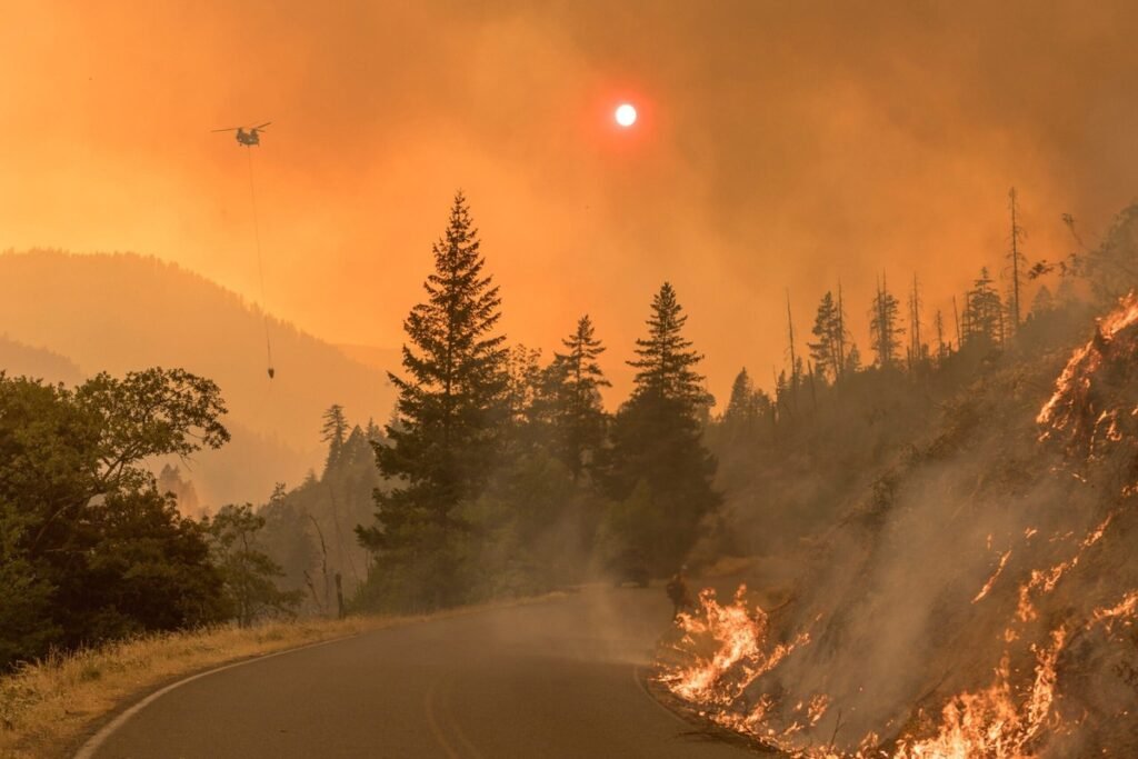 Wildfire Season