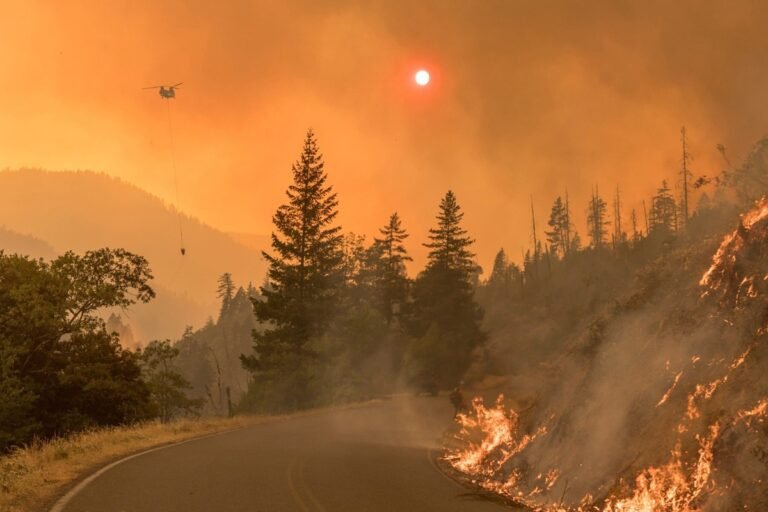 Wildfire Season Road Trips: Plan Around Closures, Smoke and Evacuations